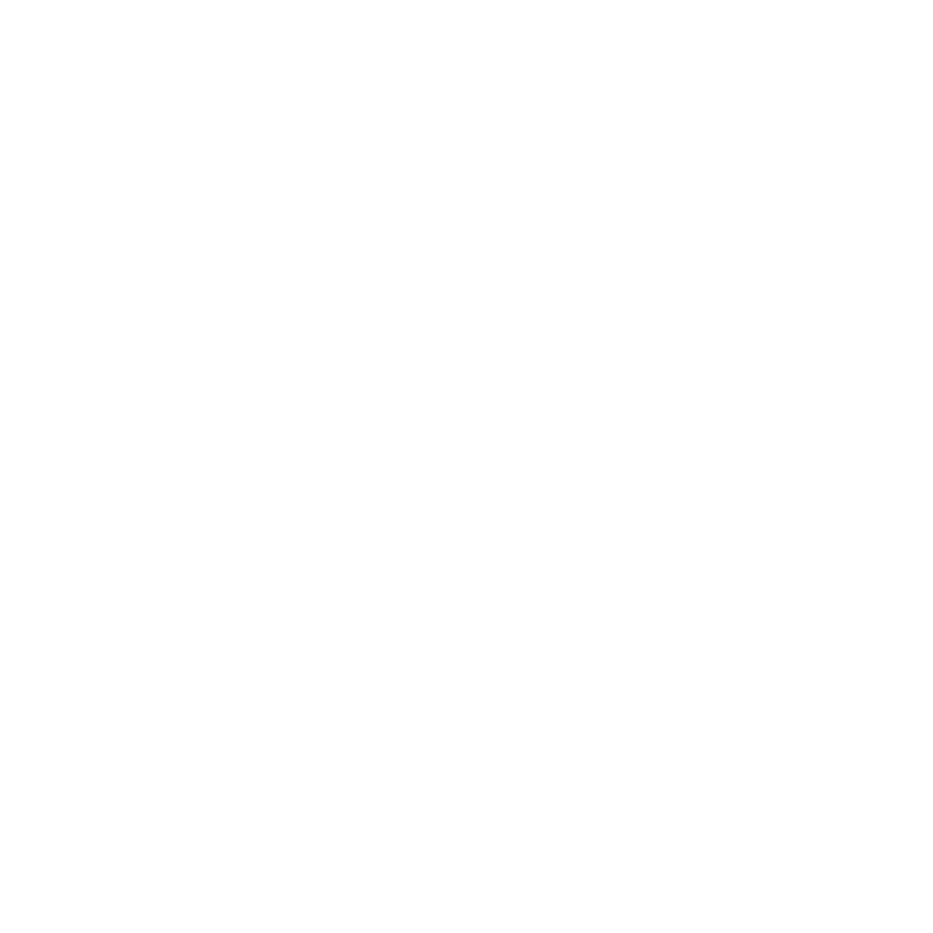 Report icon